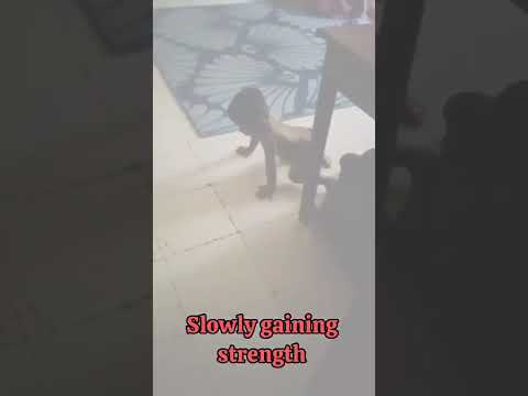 Pulse Multispeciality Hospital|Navale Bridge,Pune