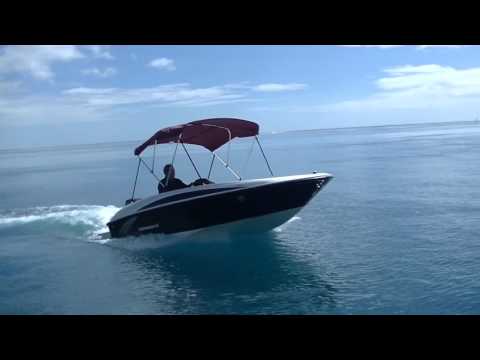 Bayliner Element 16' + Mercury 60 CV 4 tps EFI Big foot