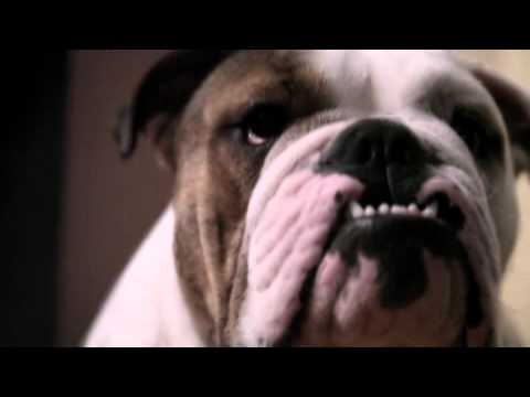 Morgan Page - In The Air