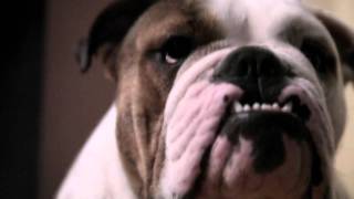 Morgan Page - In The Air