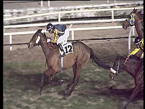 Galoppo 05/02/2019 - 6ª corsa - TRIS