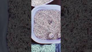 Tofu Cat Litter from Australia