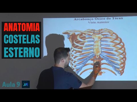 Anatomia das COSTELAS E ESTERNO | AULA 9