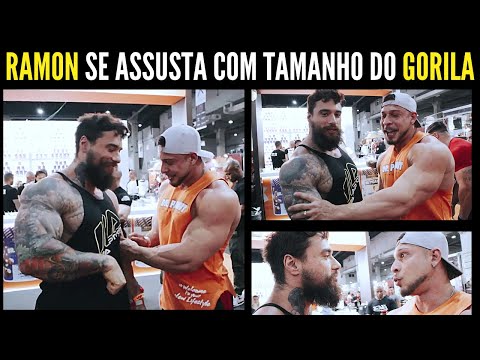 GORILA APARECE GIGANTE E ASSUSTA RAMON DINO