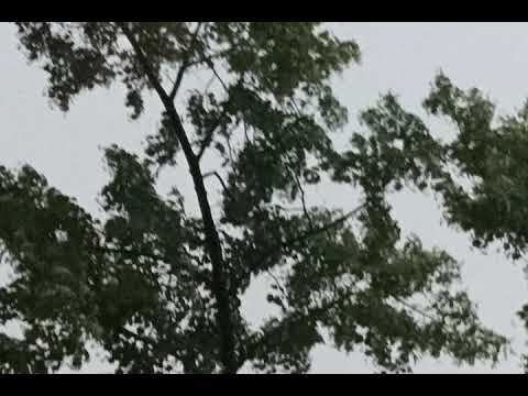 Can't Believe (prod. Yourtears + k1ba) [Official Audio]