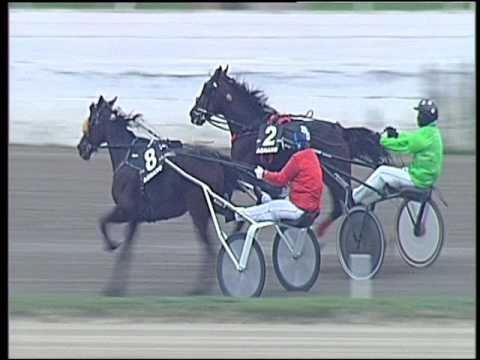 Trotto 18/10/2016 - 3ª corsa