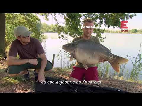 Monster Carp Starts MK