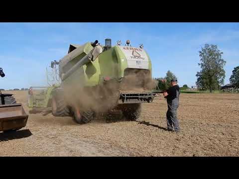 Harvesting 2019 - Claas Tucano 320