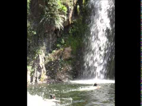 Zedd ft  Matthew Koma & Miriam Bryant   Find You (Plutian Remix)