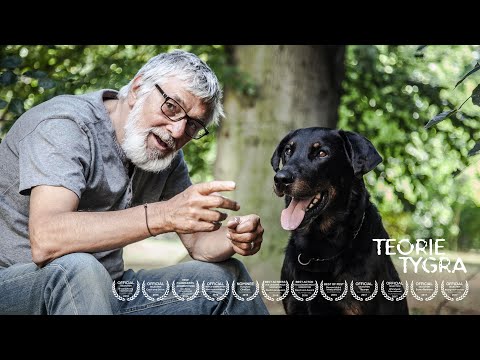 Teorie Tygra - Trailer