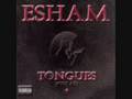 ESHAM featuring THE DAYTON FAMILY / FUCK A LOVER