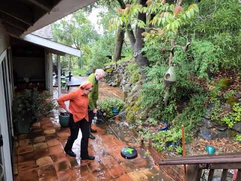 User submitted video