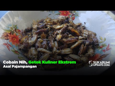 Cobain Nih, Getok Kuliner Ekstrem Asal Pajampangan