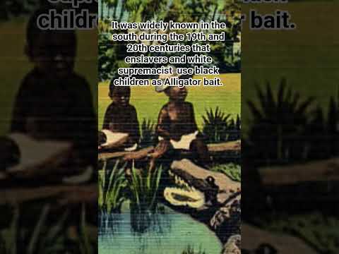 Gator Bait. #slaveryhistory