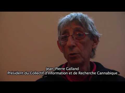 [Reportage] Légalisation du cannabis : France, Belgique, Canada