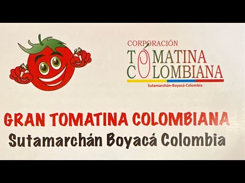 #7NEnVivo / Rueda de prensa Lanzamiento Gran Tomatina Colombiana Sutamarchán 2026