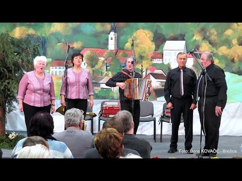 Pleteršnikovi pevci Pišece - Roža na vrtu (v živo)