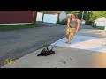 A Symphony Of Fantastic Dogs AFV Music Compilation AFV1