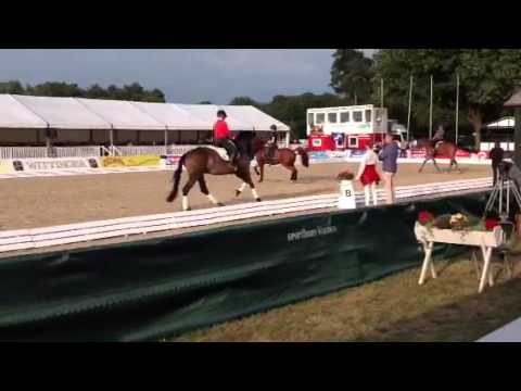 Verden 2013 - séance de coaching