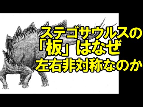 ステゴサウルス