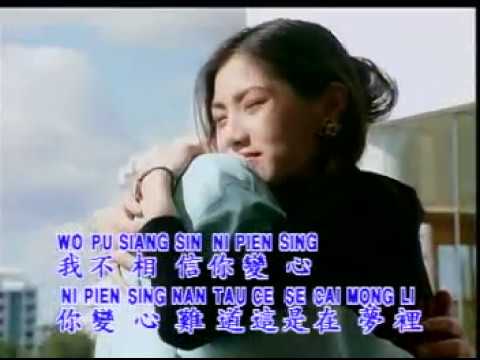 甄妮 - 難道這是在夢裡 (美雅 原聲 KTV)