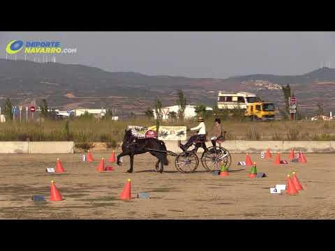 Campeonato navarro de enganches Olite 2017 5