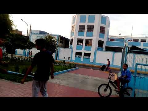 Óvalo grau - fecha trap|octavos zark vs Adriano