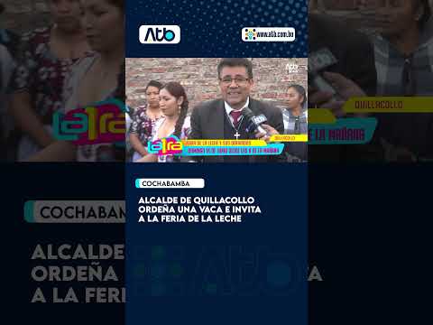 Alcalde de Quillacollo ordeña una vaca