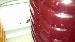 26% Home Brew Alcohol  Attempt