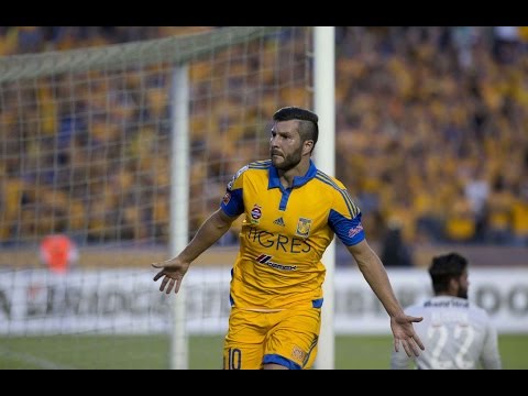 Gignac Goals - Tigres | Apertura 2015