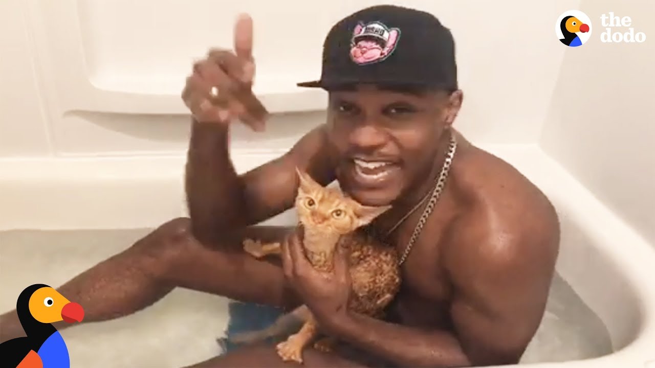 Guy Raps About His Cat in the Bathtub | The Dodo