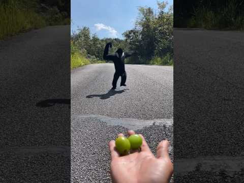 VENOM Eating Grapes.!