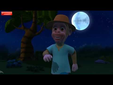 nidesh kids super conton