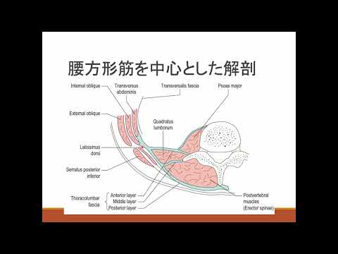 医学科 ⑩周産期に役立つ（かもしれない）超音波ガイド下神経ブロック_中本達夫_第10回産科麻酔に参加しよう
