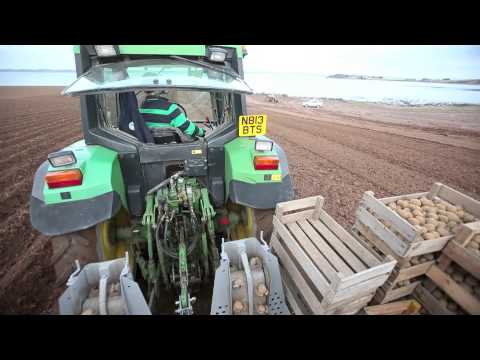 Comber Earlies Show Reel 2014