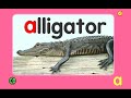 Starfall Alphabet Letter A Best Learning For Kids Listening Reading Phonics