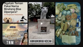 ajg, macan ama disuruh bersyukur