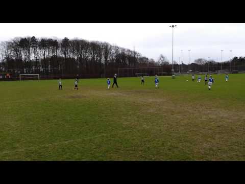 V.V. IJmuiden - Terrasvogels