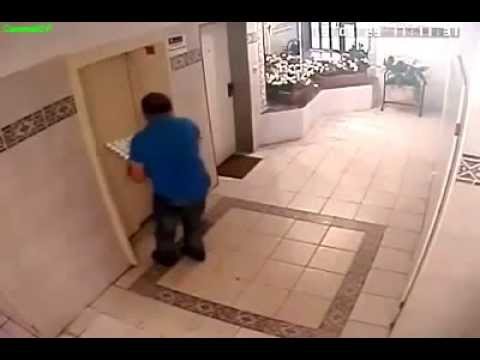 1 Dog + 1 Elevator + Eggs + Incompetent Owners = Comedy Gold
