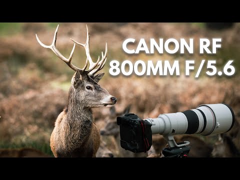 Video thumbnail for Video Review 3