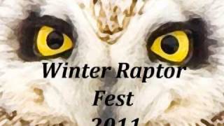 preview picture of video 'Winter Raptor Fest 2011 - Live Birds of Prey, Aviation Mall - preview'