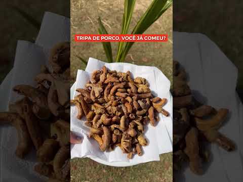 Tripa de porco, você já comeu? Direto da minha cidade na Bahia, Presidente Jânio Quadros.