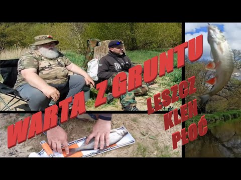 WARTA Z GRUNTU / LESZCZ / KLEŃ / PŁOĆ / BLUBRY WĘDKARZY