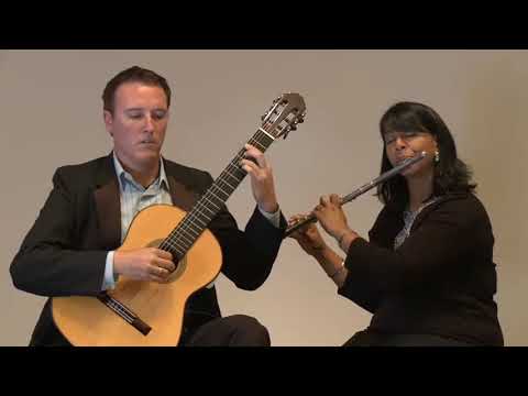 Promotional video thumbnail 3 for Steven Dearing /Dearing Concert Duo