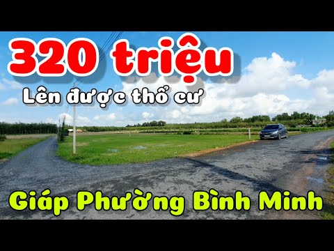Bán đất 15x35 giá 320 triệu ở Châu Thành Tây Ninh giáp phường Bình Minh lên được thổ cư xây nhà