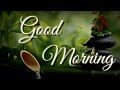 Good Morning Good Morning Whatsapp Status Morning Flute Sound Relaxing Morning Music