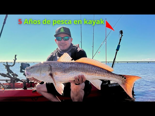 Judge.me YouTube video placeholder