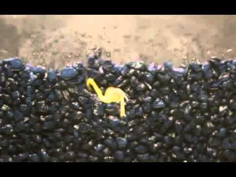 Sevendoors - Otec Beginnning