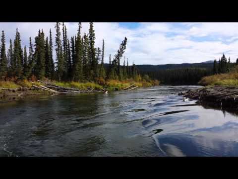 moose hunting up the morely river, yukon september 14 2013