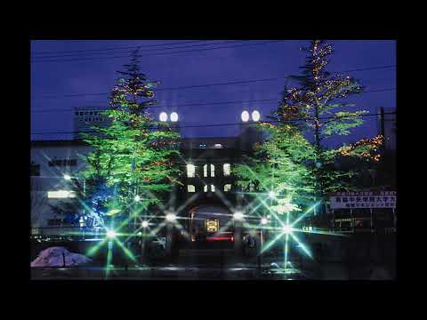 看護学科 想い出のヒマラヤ杉（2022年7月6日）
